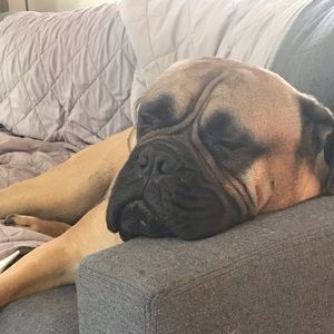 Meet your Posher, Christian